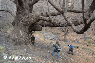 Agente de Medio Ambiente acompa&ntilde;ando a reporteros en Sierra Nevada