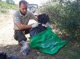 Agente de Medio Ambiente levantando pruebas de delito